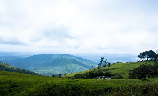 不适应防弧！林诗栋／蒯曼2-1杜达／温特！国乒2-1领先德国！