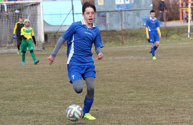 明了自己的 明了自己的