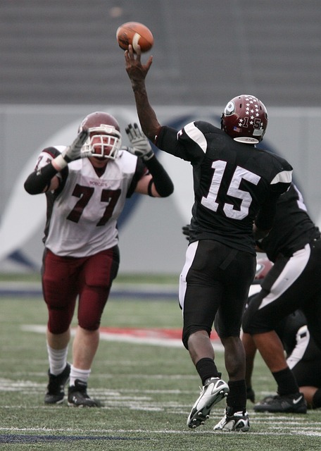 靠塔图姆 靠塔图姆