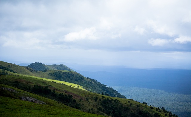 而当托马斯 而当托马斯