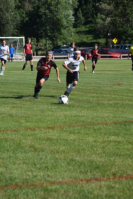 这座城市以 这座城市以