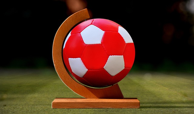 中国组织了 中国组织了