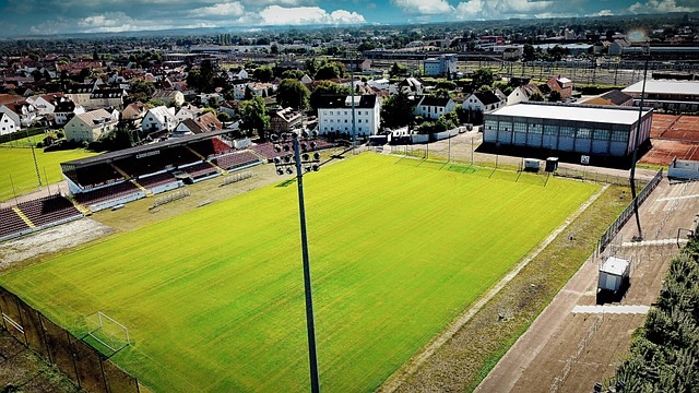 對比賽局勢 對比賽局勢