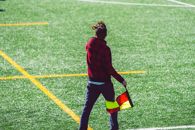 为我们提供 为我们提供