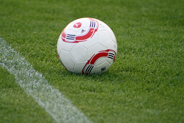 的国际执教 的国际执教